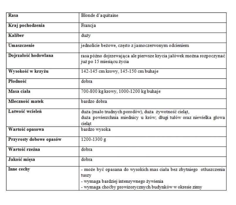 Byki mięsne Blonde d Aquitaine 100 % rasy Pod oceną