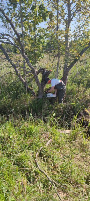 Alpinistyczna wycinka drzew, oczyszczanie działek, koszenie