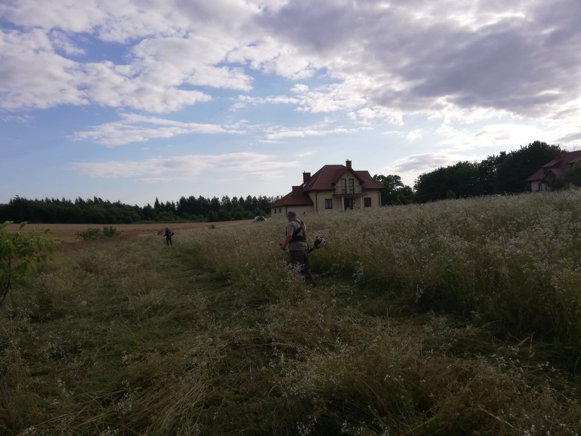 Koszenie traw trawników rowów i innych nieużytków. Jarosław i okolice.