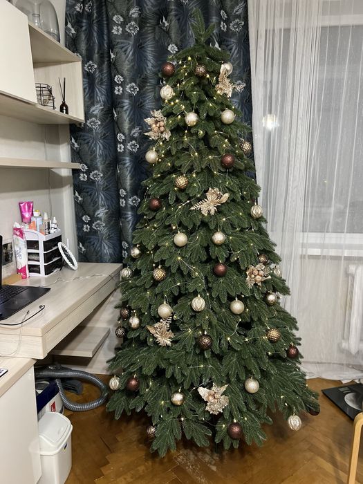 Ялинка лита Швейцарська