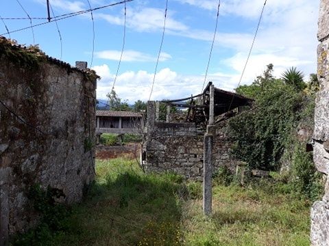 Quinta com projeto de recuperação