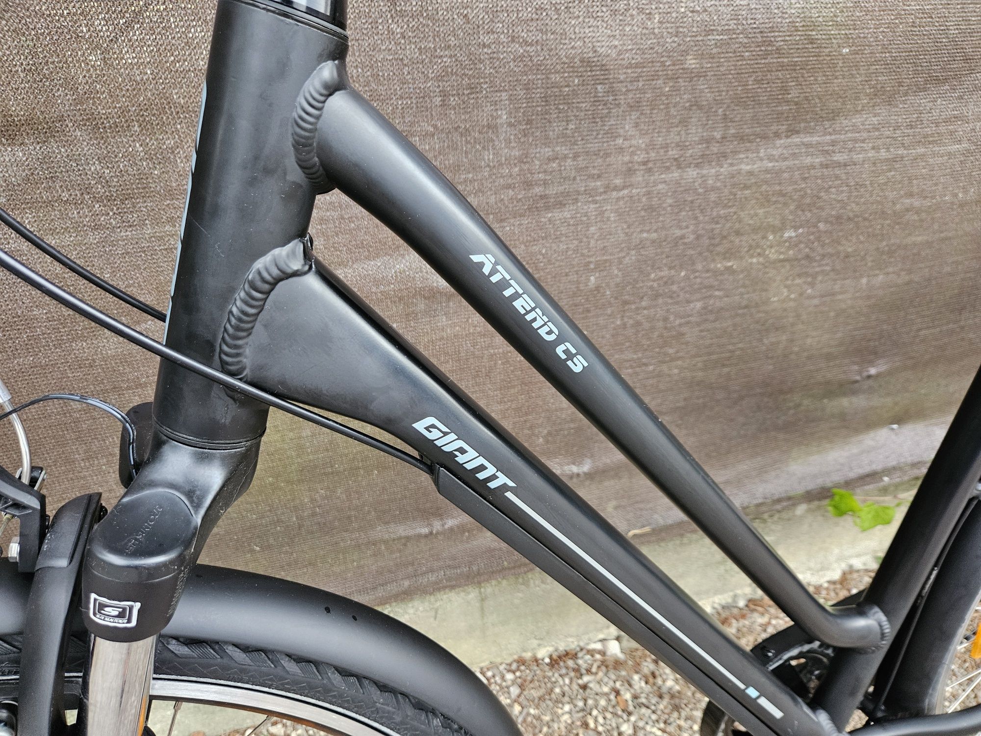 Rower Giant Attend CS 2