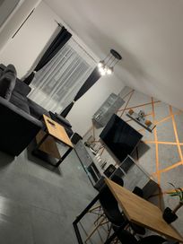Nowe bezczynszowe mieszkanie dwupokojowe do wynajęcia w Szprotawie