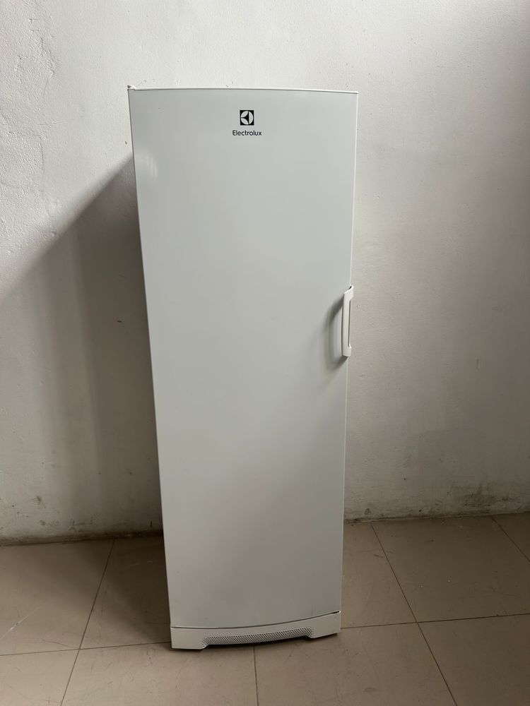 Zamrażarka Electrolux 175 cm 290 l