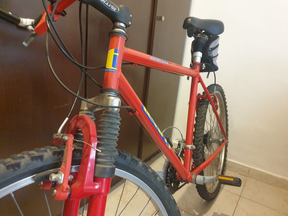 Bicicleta BTT Team Nature F100