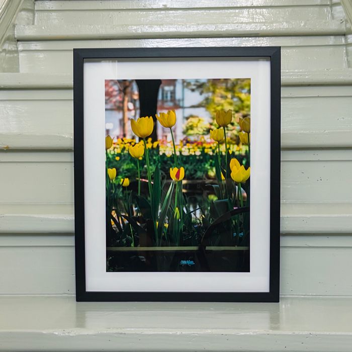 Quadro de criaçāo Original 40X50 com moldura