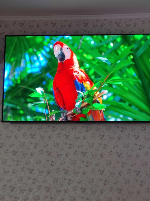 Продам свій LG OLED55C8