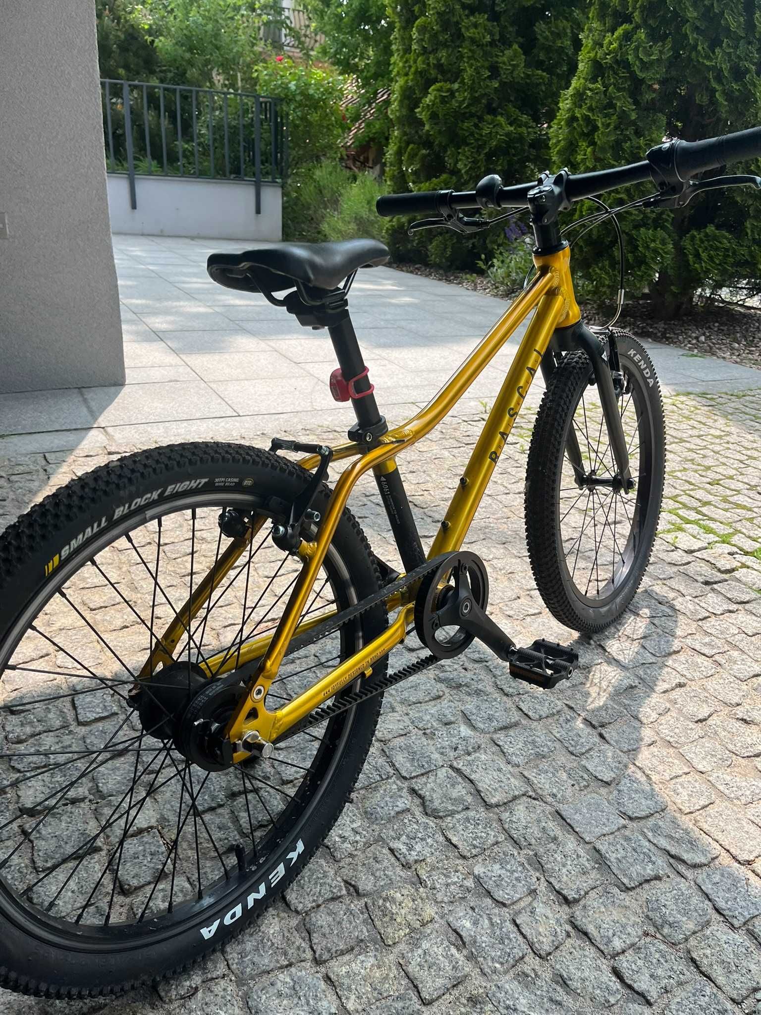 Rower Rascal 20 " złoty