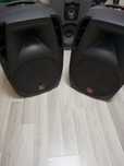 Colunas BI- Amplificadas 15"Colunas