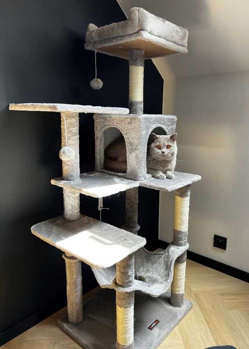 *NOWY* DRAPAK DLA KOTA KOTÓW z hamakiem - 6 poziomów