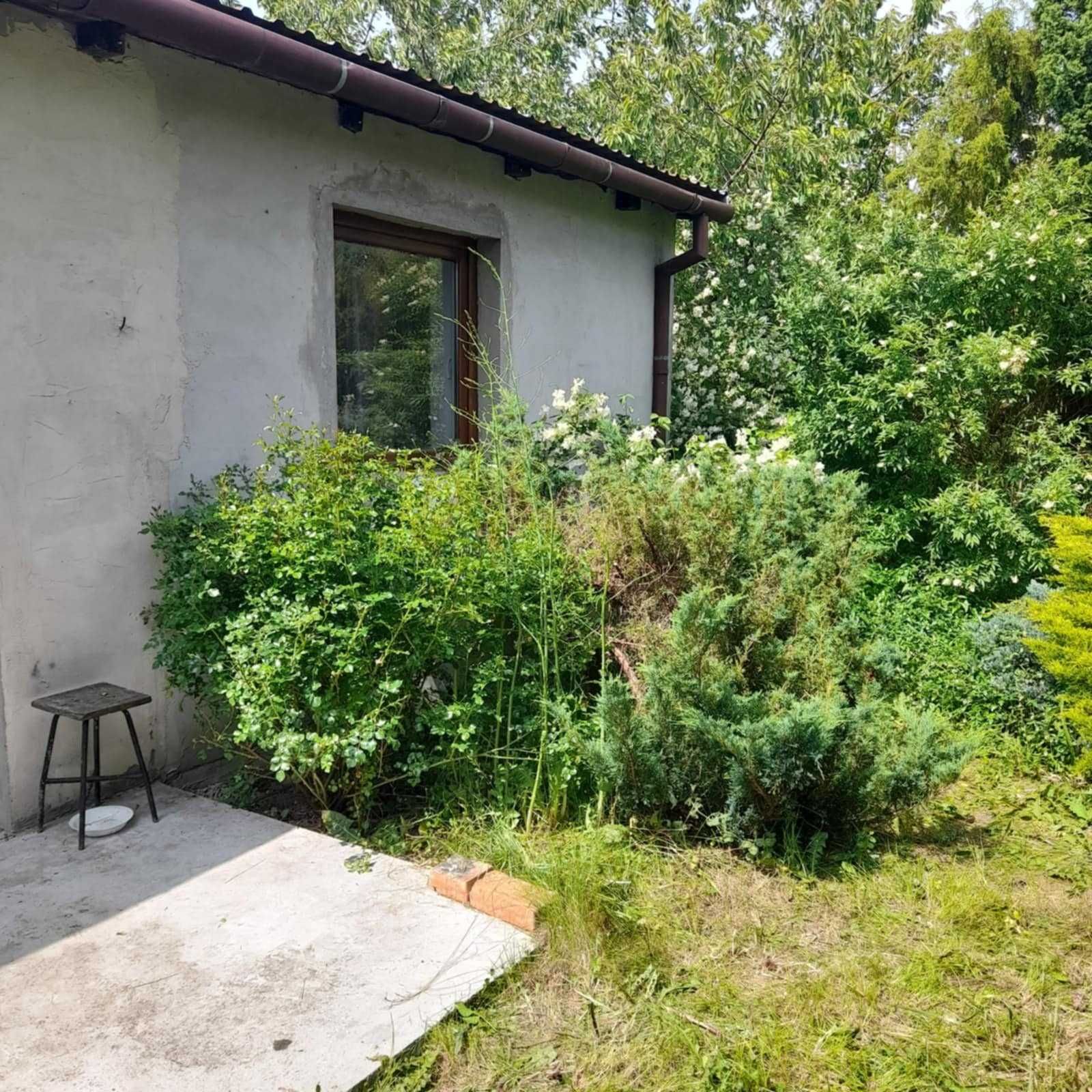 Sprzedam działkę o pow. 4000m2 z domkiem całorocznym w Żółtowie.