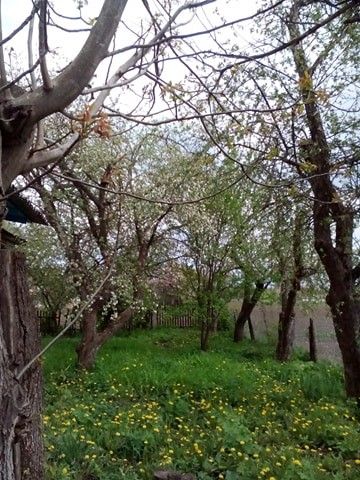 Хмільник. Зозулинці. Цегляний будинок.