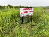 Działka inwestycyjna (handlowo - usługowa) 0,5 ha (Puławy)