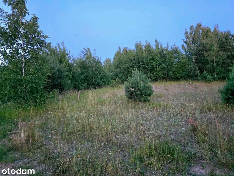 Działka budowlana w Otominie