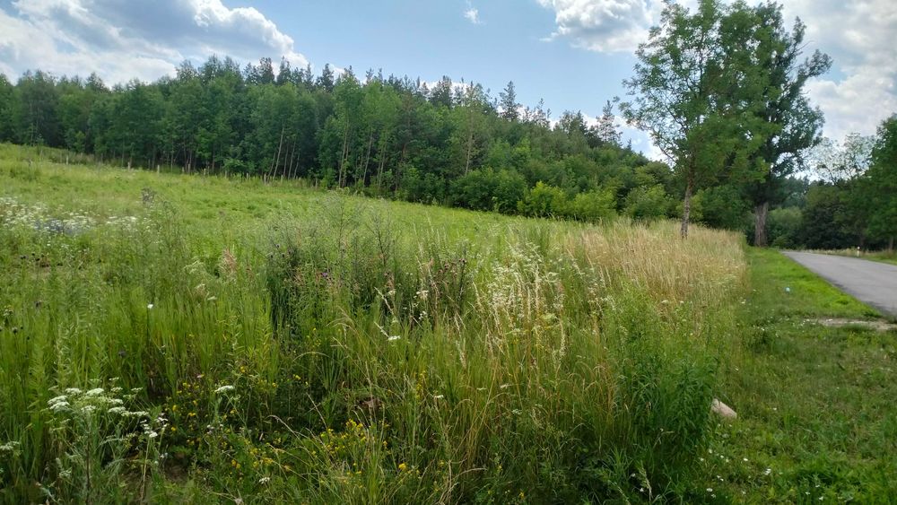 Działka budowlana, uzbrojona