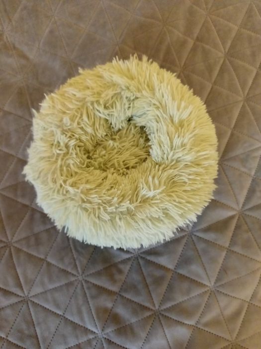 Лежанка нова для котика або кішечки