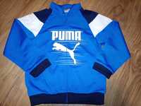 NOWA bluza dres Puma 98 cm