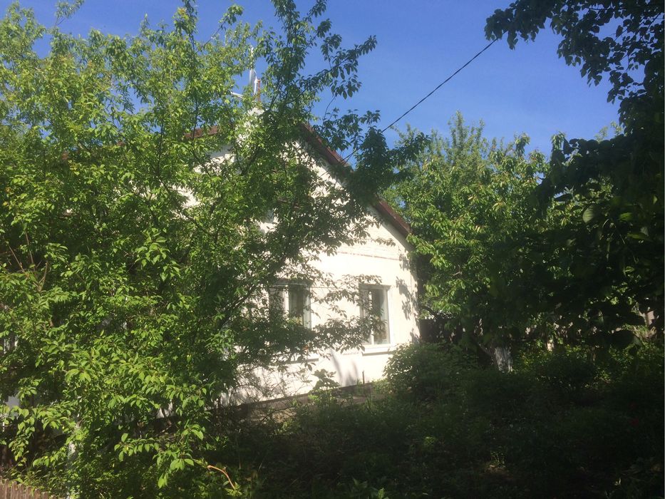 Дом- усадьба, собственник