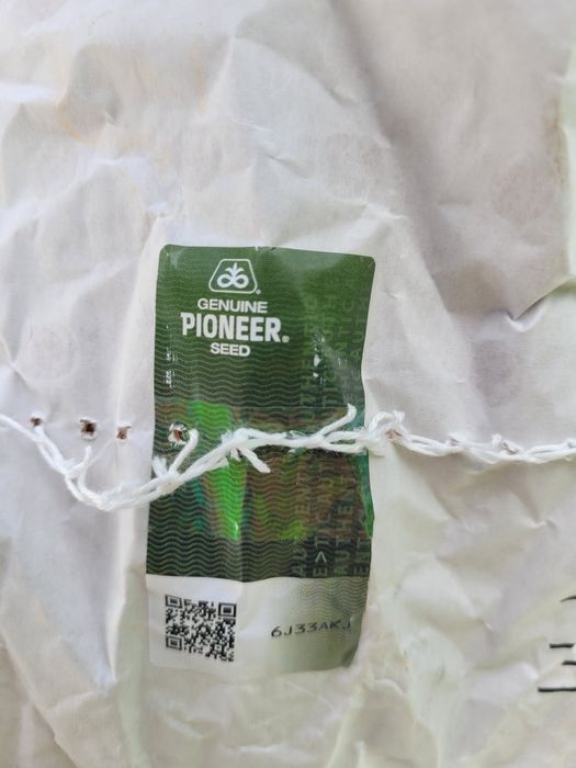 Продаю насіння соняшника Pioneer
