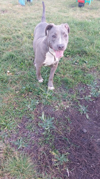 Підрощена красуня