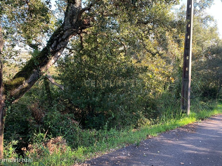 Terreno rústico com 1350m2, passível de construção - urbanização, nest