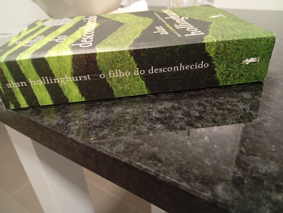 Vendo o livro "O Filho do Desconhecido", de Alan Hollinghurst