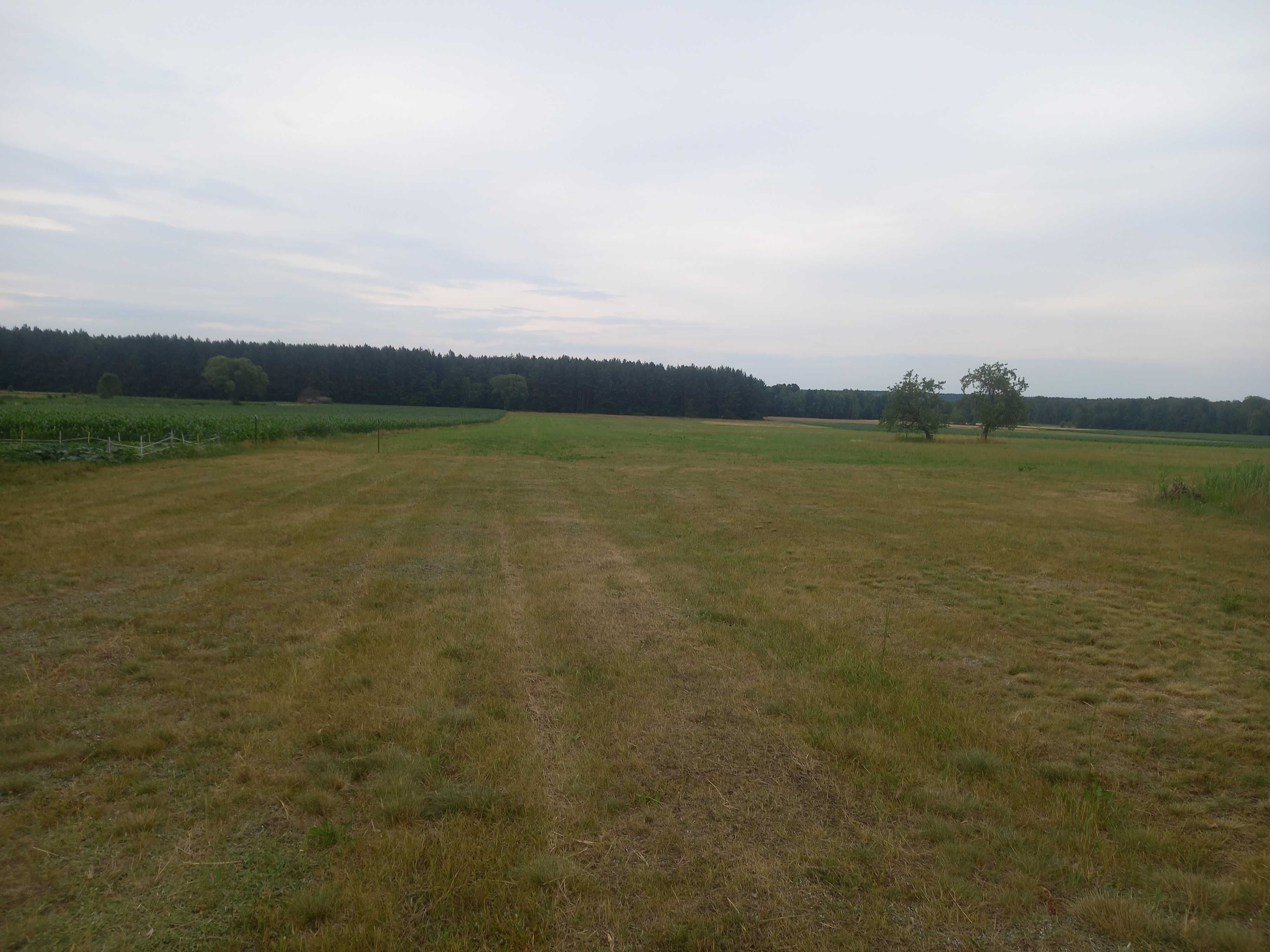 Działka budowlana z MZP blisko Siedlec w Stoku Ruskim ładna okolica