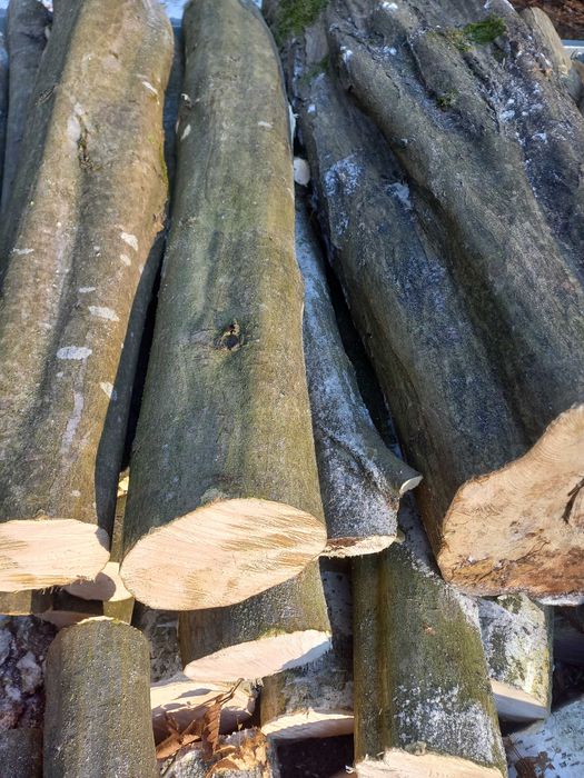 Drewno opałowe metry brzoza olcha