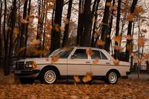 Klasykiem do Ślubu Mercedes Benz w123 ślub, sesja zdjeciowa, wynajem