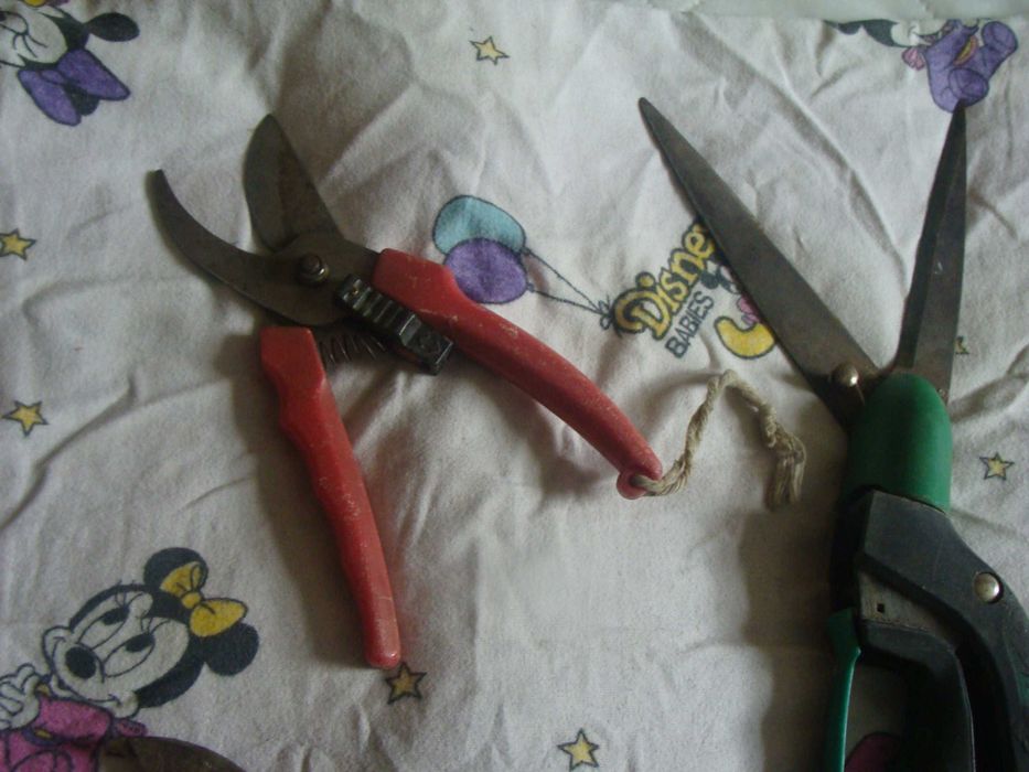 Nożyce ręczne do pod koszenia trawy używane+sekator używane-sprzedam