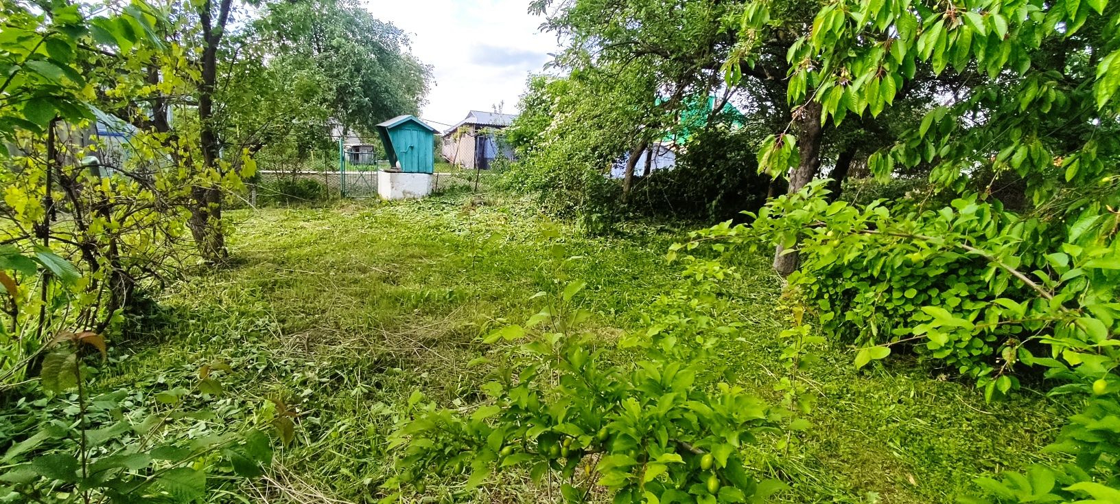 Зіньків. Будинок.