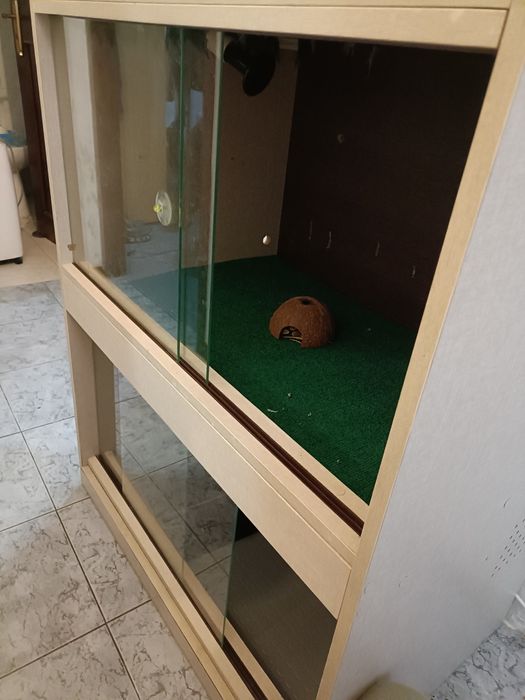 Terrário para repteis