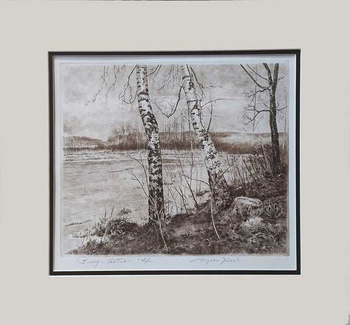 W.Górecki-"Brzozy w Gołubiu"-Grafika-akwaforta "