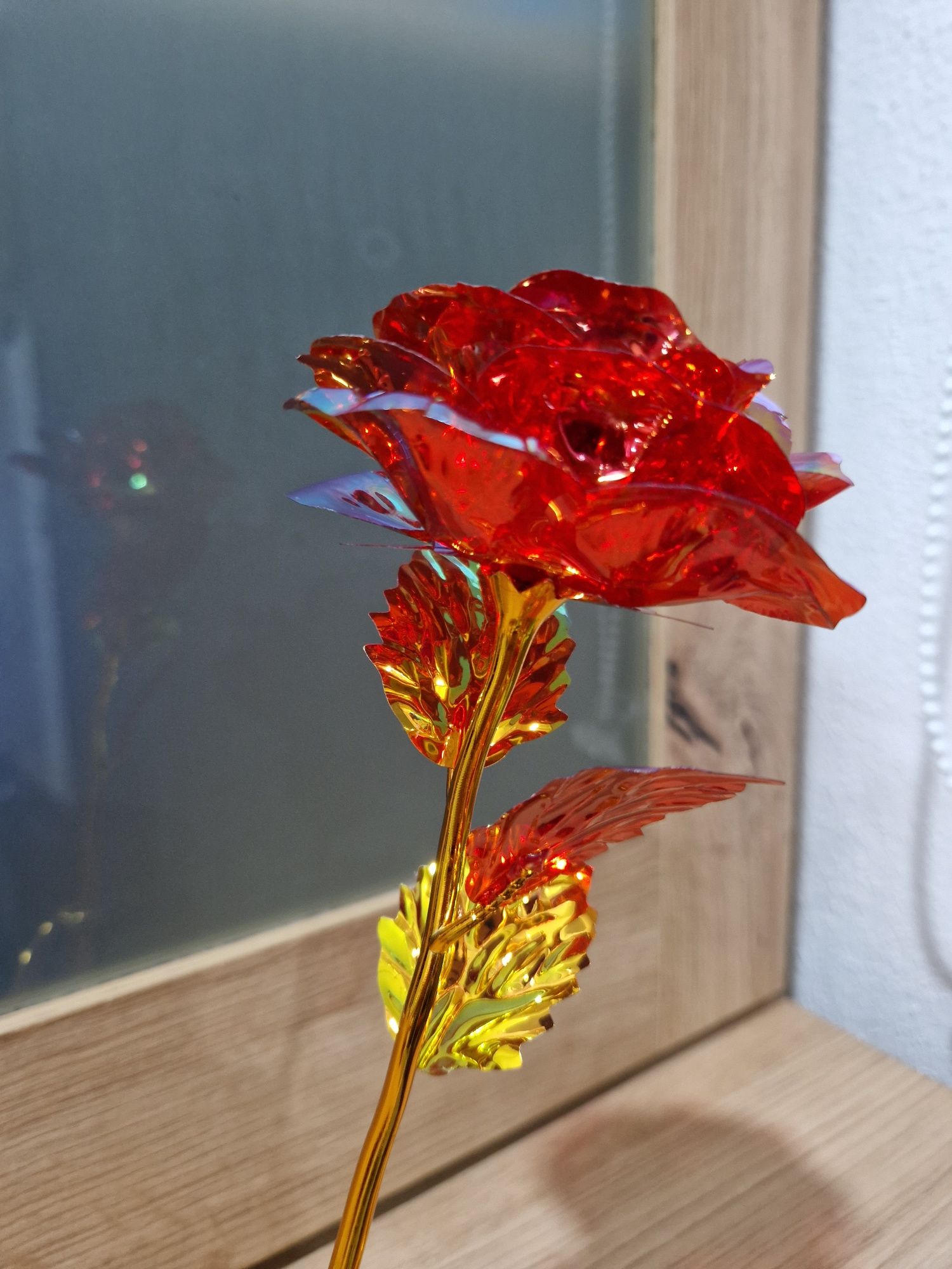 Flor dia dos namorados.  Nova