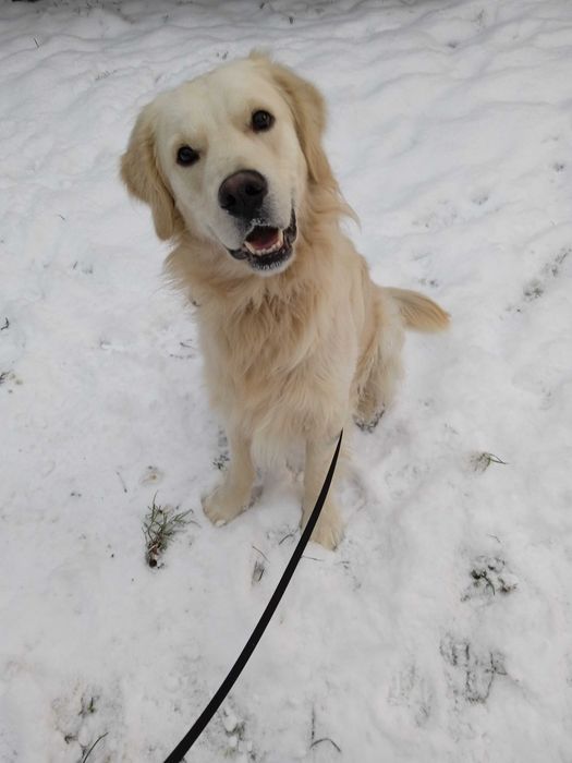 Hotel dla zwierząt w siedzibie przychodni Wojciecha Toczka.