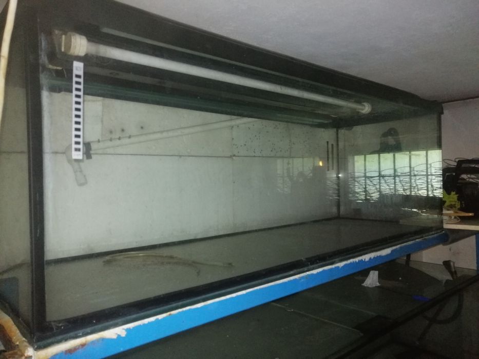 Do sprzedania Akwaria szkło techniczne grube od 0.5cm