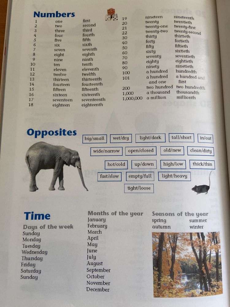 Children’s colour dictionary (for homework help)
