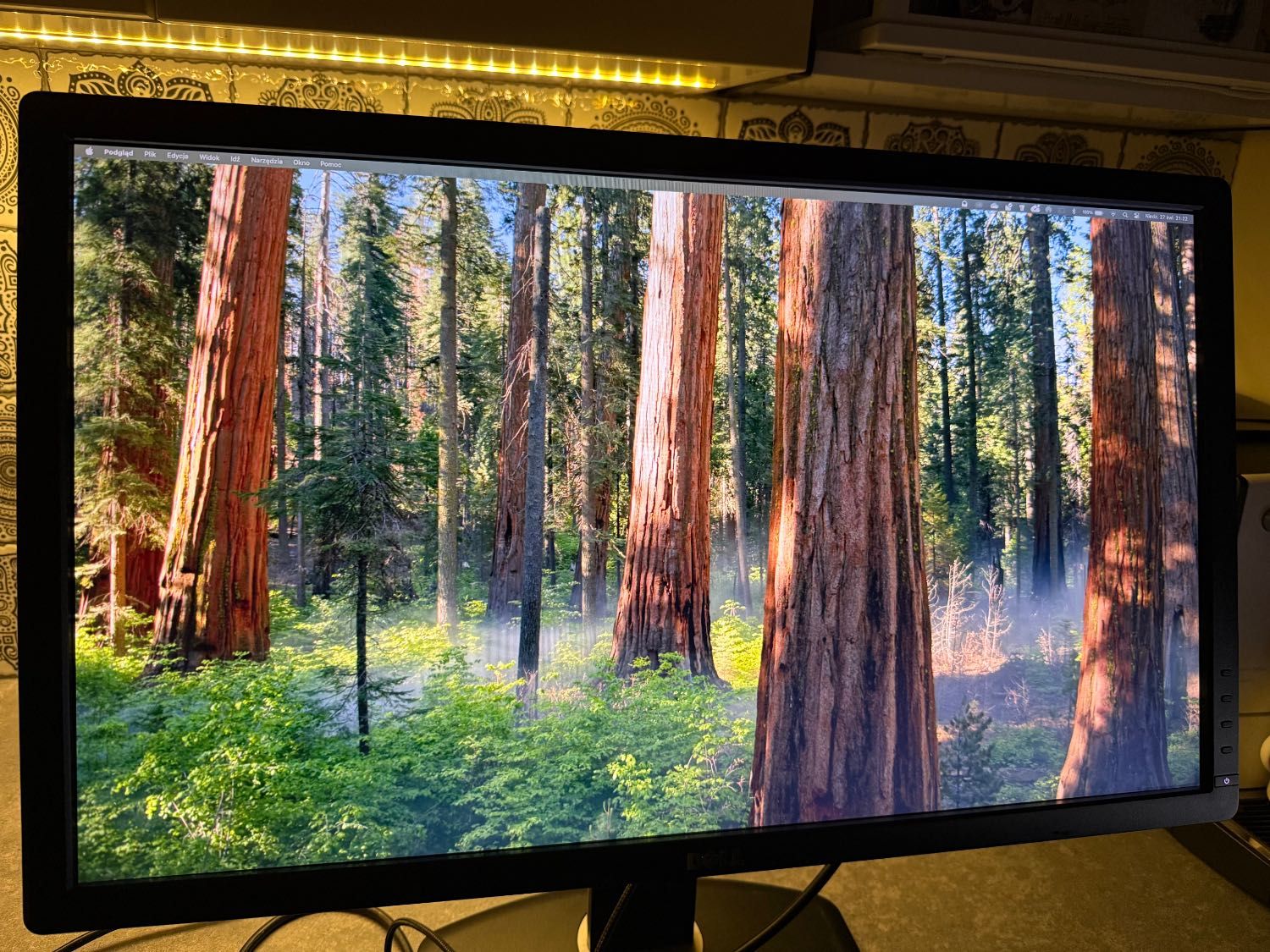 Dell U2713HMt – 27" WQHD IPS – sprawny, drobna wada matrycy.