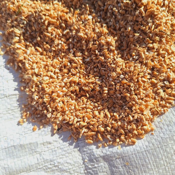 Pszenica Gnieciona Dla Kur Niosek 25kg