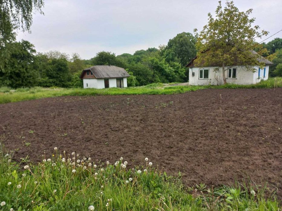 ПРОДАМ   земельну  ділянку, продаж, земля