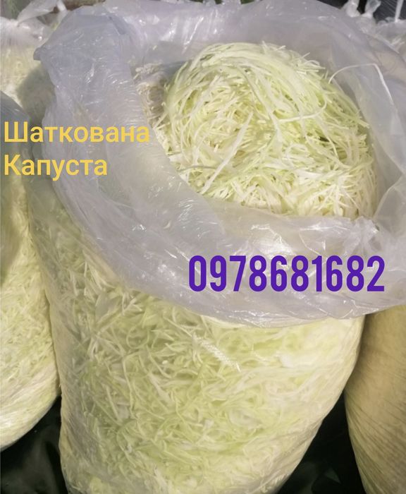 Шаткована Капуста. Різана Капуста