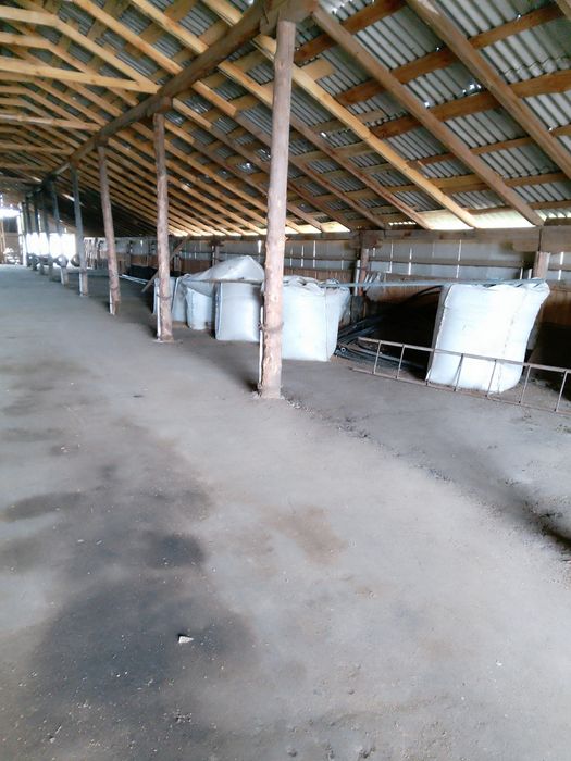 Склад в оренду (ангар)