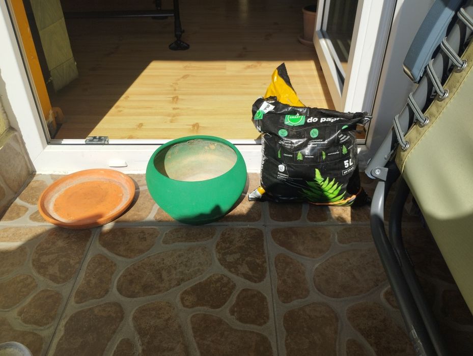 Sama ziemia do paproci nowa 2,5/