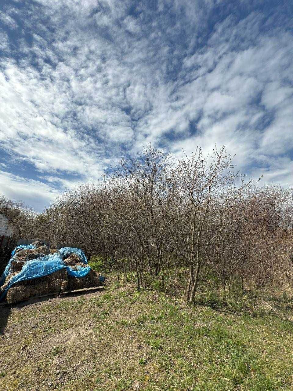 Продаж ділянки з будинком 30 соток в с.Галинка
