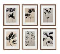 6 obrazów na papierze z mojej ostatniej serii "Botanika". A4