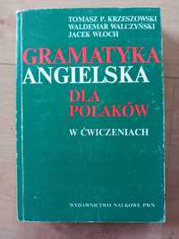 Gramatyka angielska dla Polaków w ćwiczeniach