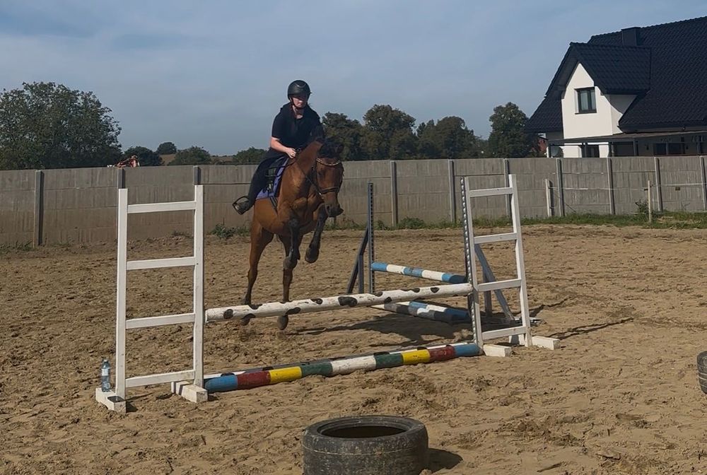 Wydzierżawię cudownego walaszka
