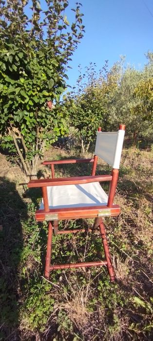 2 cadeiras de realizados de madeira e tecido