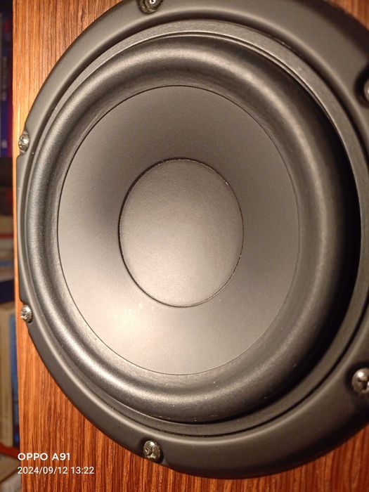 AudioSolutions Euphony 50 kolumny podłogowe