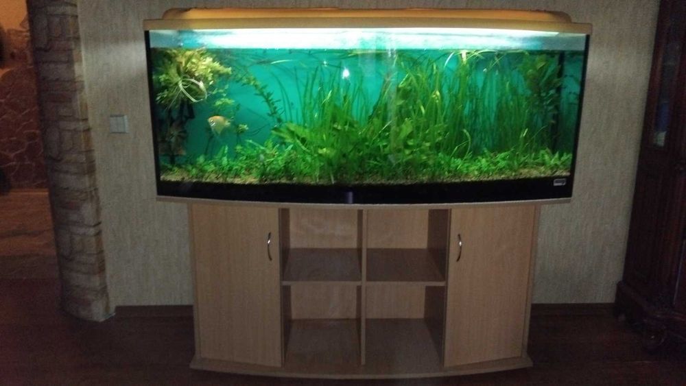 Аквариум для рыб (с тумбой, рыбами, фильтром и тд.) 400 литров